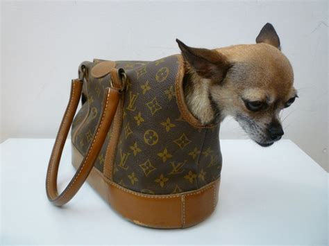 louis vuitton hundebett|louis vuitton dog bag canvas.